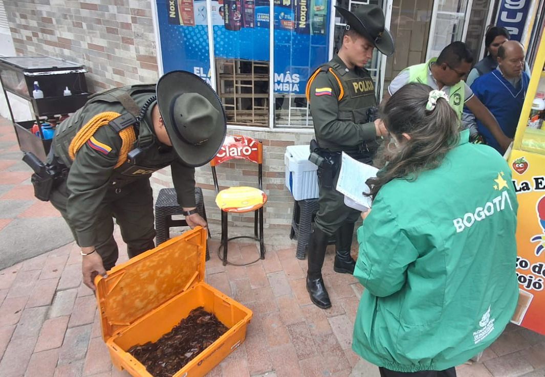 Incautados 192 cangrejos sabaneros y 4 tortugas hicoteas en el sur de Bogotá, en operativos de la Secretaría de Ambiente y la Policía Ambiental