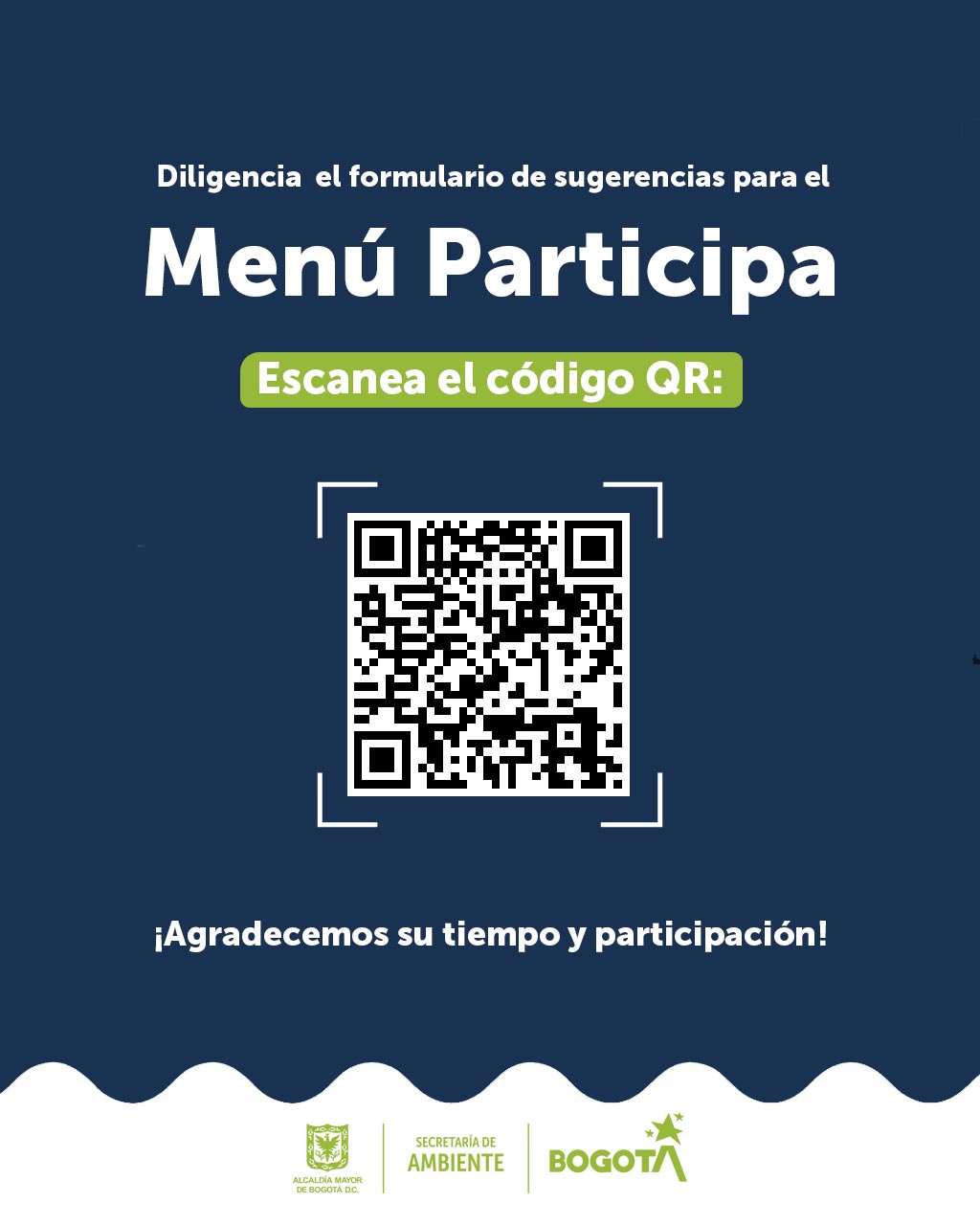 Encuesta participación ciudadana