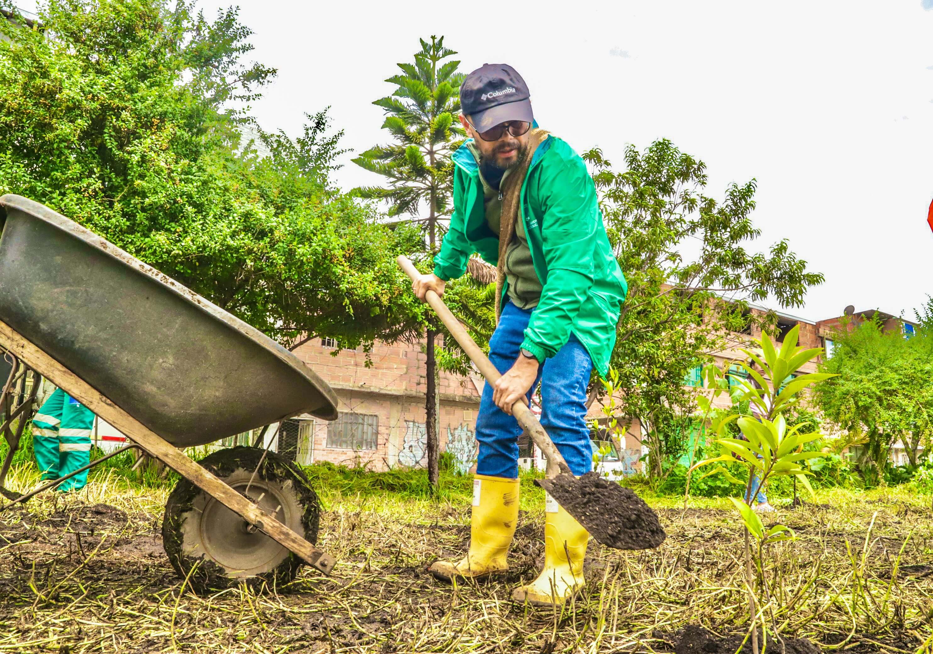 Cerros, humedales y parques renacen: más de 105.000 árboles nativos sembrados por Bogotá