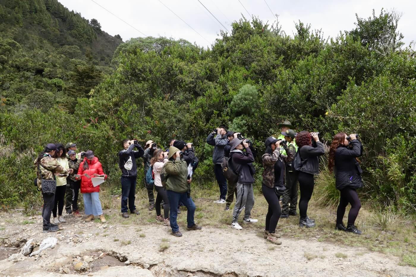 Personas avistando aves