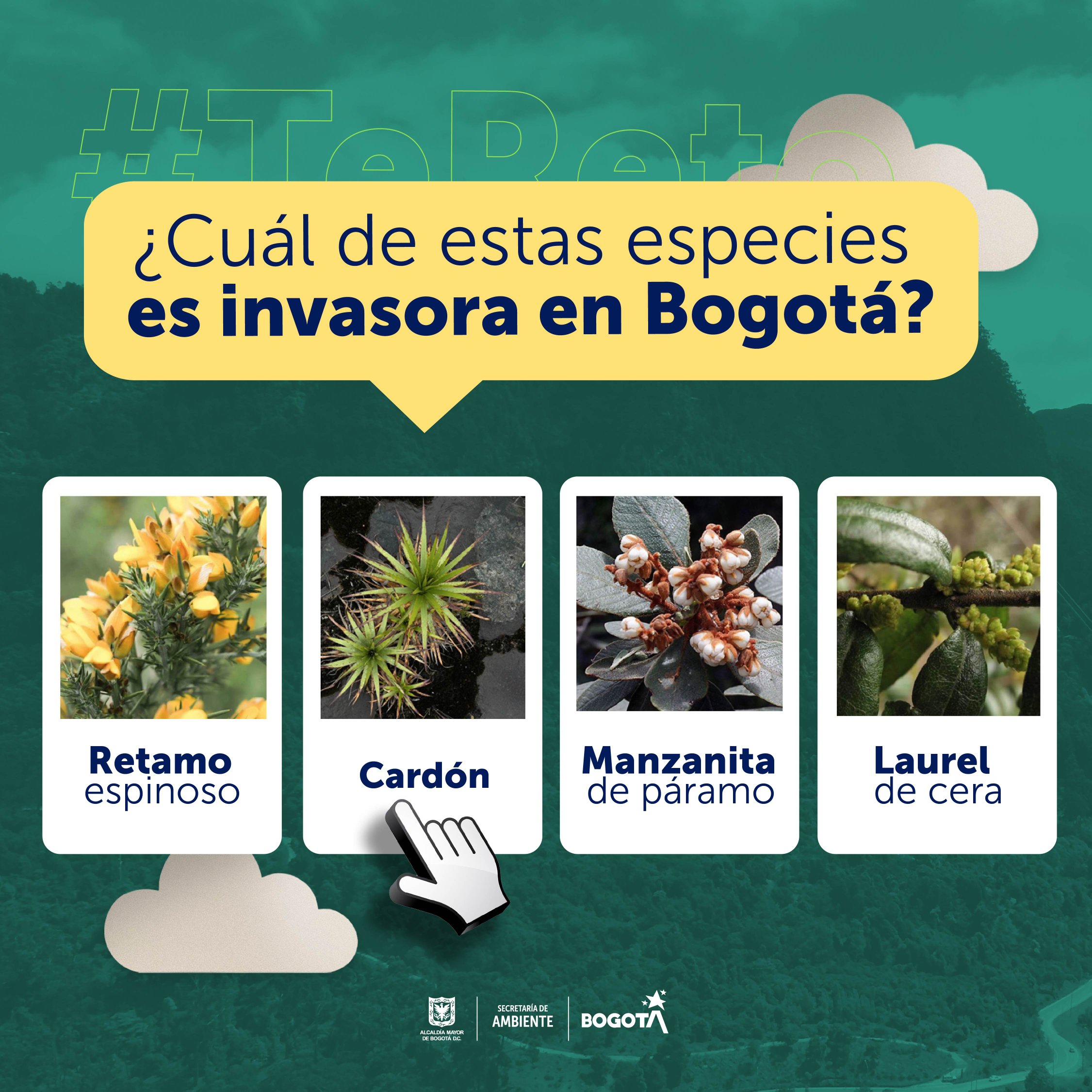 Reto 2