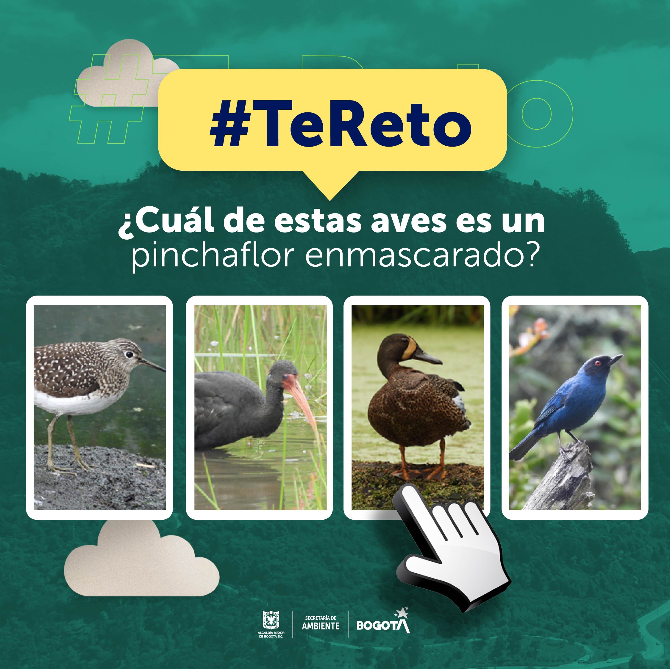 Reto 5