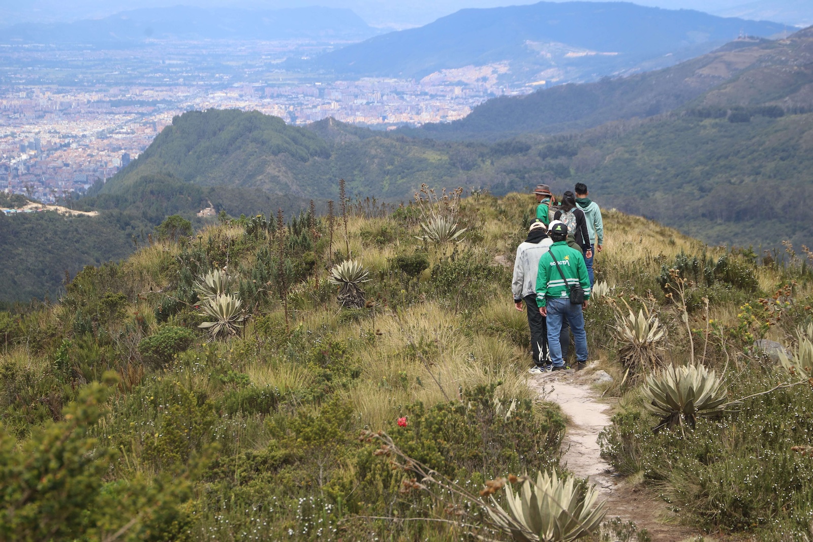 Festival Calma en Bogotá: conéctate con la naturaleza y participa en las caminatas ecológicas