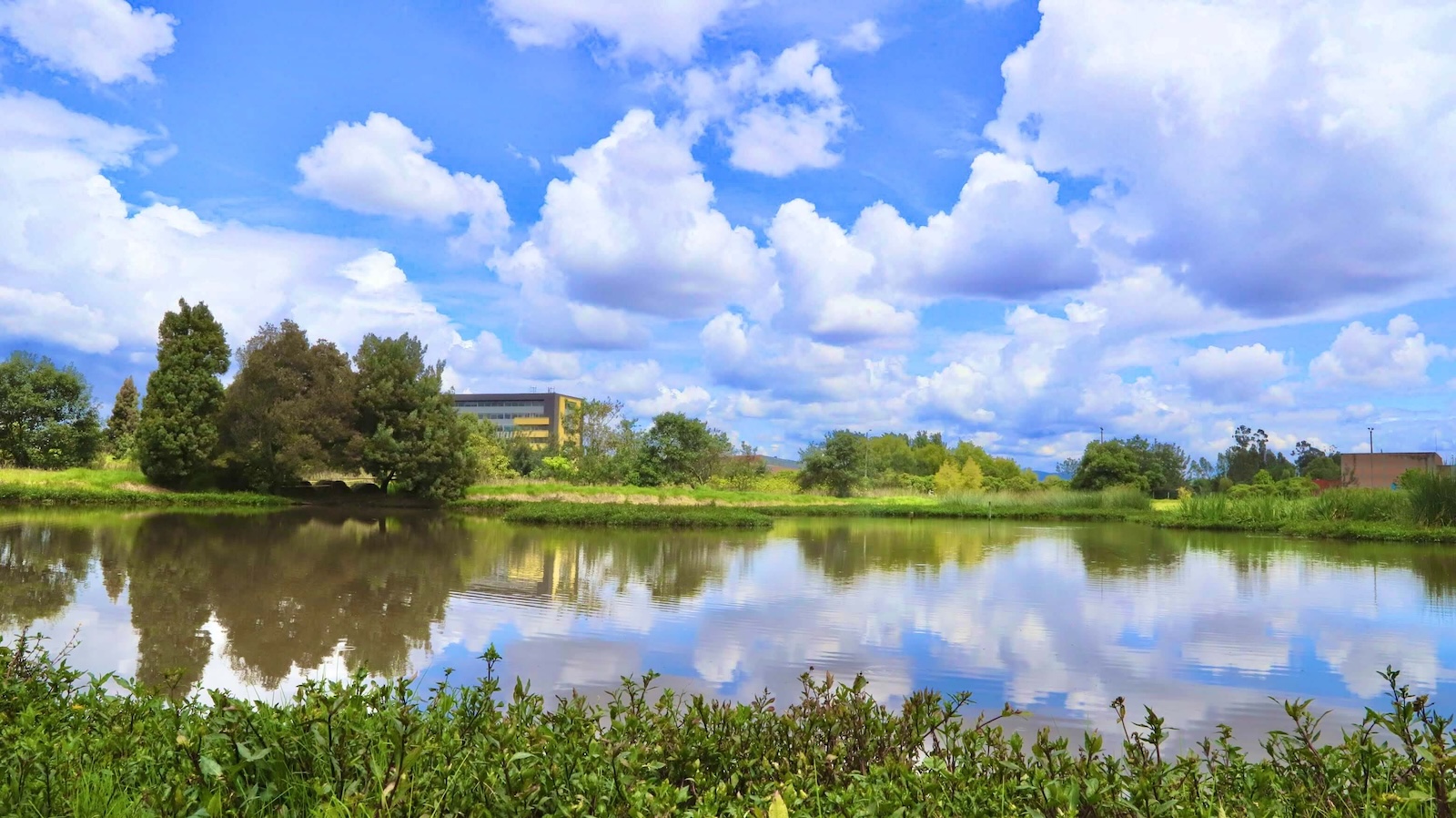 Foto: Humedal Capellanía - SDA